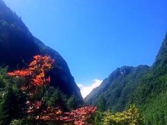 -神龙峡风景区