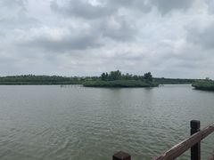 -西青郊野公园