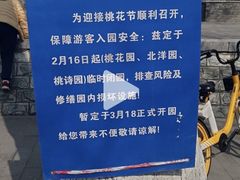 -桃花堤公园