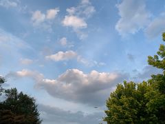 -雅逸居海鲜小厨