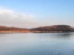 -昆山城市生态森林公园