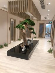 -HQ半永久纹绣纹眉