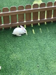 -萌宠亲子动物乐园(槐房万达店)