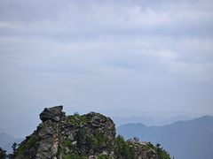 -朱雀国家森林公园