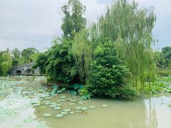 -韩湘水博园