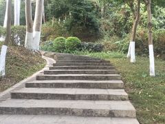 -火炉山森林公园