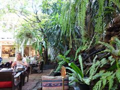 -Fern Forest Cafe