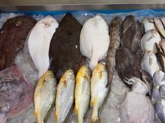 -鑫渔港海鲜本地菜·山海关浑锅(东戴河店)