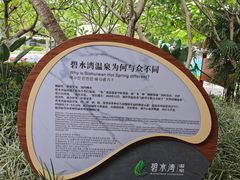 -碧水湾温泉