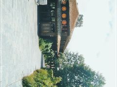 -普洱太阳河森林公园