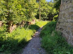 -云岫谷游猎自然风景区