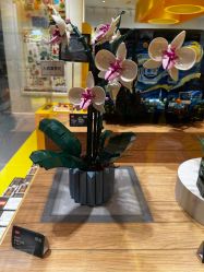 -乐高授权专卖店(朝阳大悦城店)