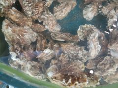 -蓝珊甄选海鲜自助·火锅大排档(近阿那亚店)
