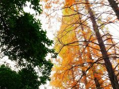 -长江路历史文化街区