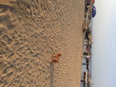 iphone_upload_pic-老虎石海上公园