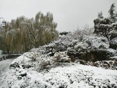 -济南大明湖景区