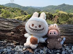 -广州市帽峰山景区