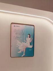 -红妆双美