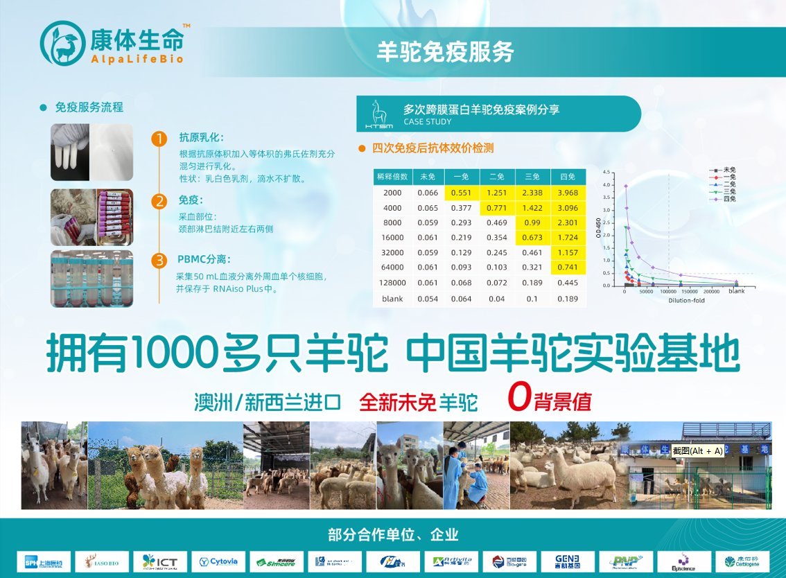 羊驼哪里有卖?多少钱一只?
