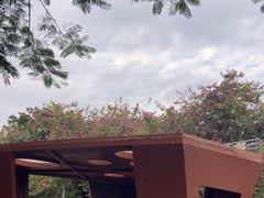 -金砂公园