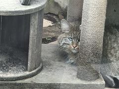 -青藏高原野生动物园