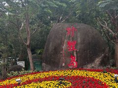 -野狸岛