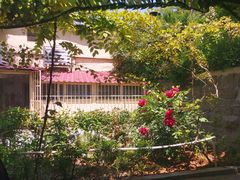 -公寓家常菜馆(海军博物馆店)