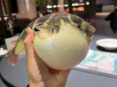 -肆月河豚·淮扬菜·湘菜(华天店)