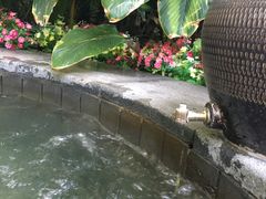-东方华地城湿地温泉度假区
