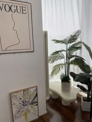 -周周美学工作室