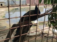 -河北村民俗体验园