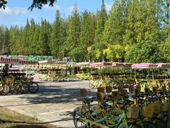 -黄海国家森林公园