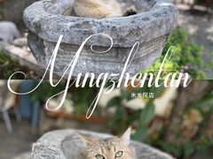 -喵屿·大理花园猫咖