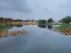 -长春市南湖公园