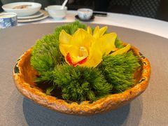 -子福慧(虹桥店)