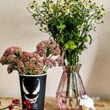 毒液也爱这“毒一无二”的黑芝麻冰淇淋🍦