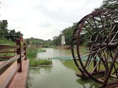 -松山湖梦幻百花洲