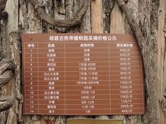 -呀路古热带植物园