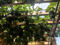 -伊隆斋(什刹海店)