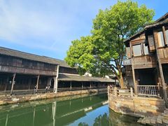 -乌镇东栅景区