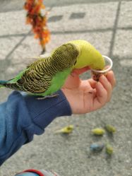 -萌宠亲子动物乐园(槐房万达店)