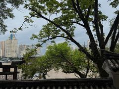 -江心屿景区