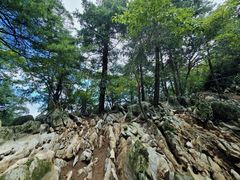-秦岭天竺山生态文化旅游景区