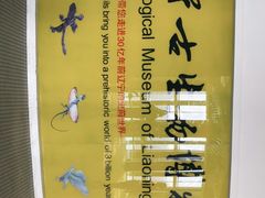 -辽宁古生物博物馆