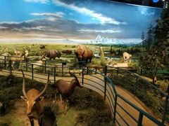 -陕西自然博物馆