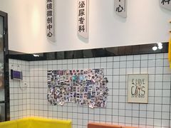 -半岛宠物医院24小时(科华中路店)