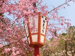 -醍醐寺