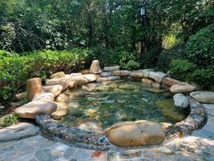 -天目湖涵田半山温泉