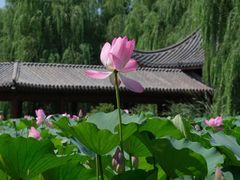 -云居湖