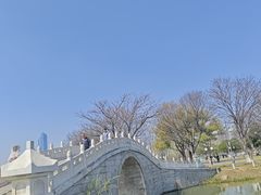 -月湖风景区
